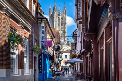 Saxon Fields - Image 9