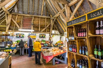 Spitfire Green - Image 10