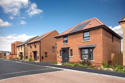 Spitfire Green - Image 5