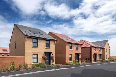 Spitfire Green - Image 7