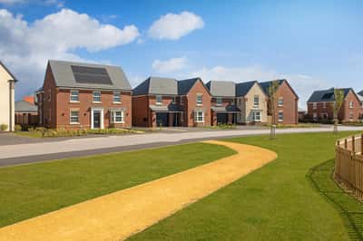 The Catkins - Image 1