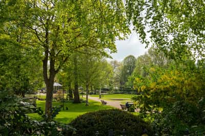 The Catkins - Image 10