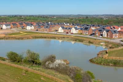 The Catkins - Image 3