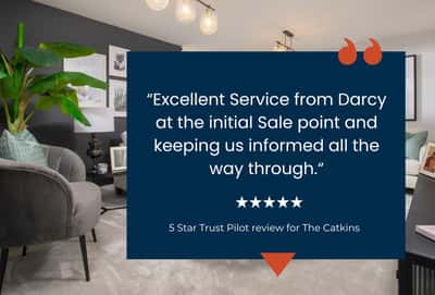 The Catkins - Image 5