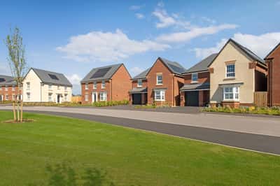 The Catkins - Image 6