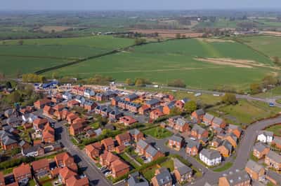 The Damsons - Image 3