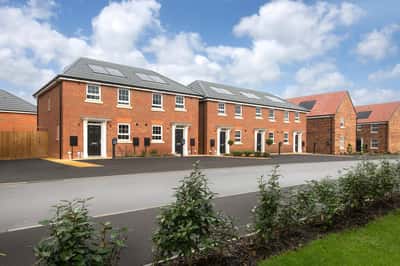 The Damsons - Image 6