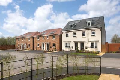 The Damsons - Image 8