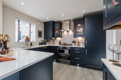 The Lapwings at Burleyfields - Image 2