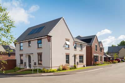 The Orchards - Image 3