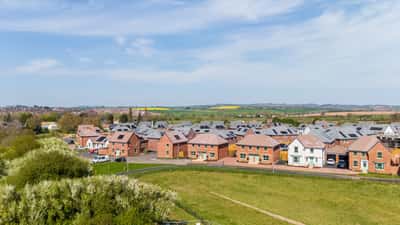 The Orchards - Image 7