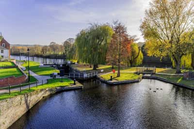 The Pearls - Image 10