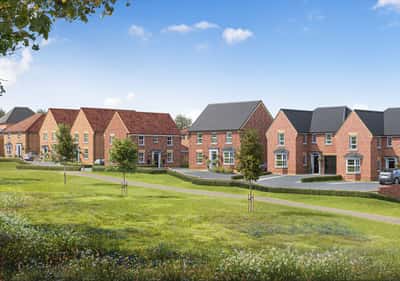 The Pearls - Image 6