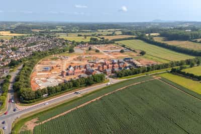 The Pearls - Image 7