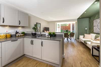 The Poppies - Image 4