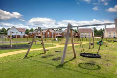 The Poppies - Image 7