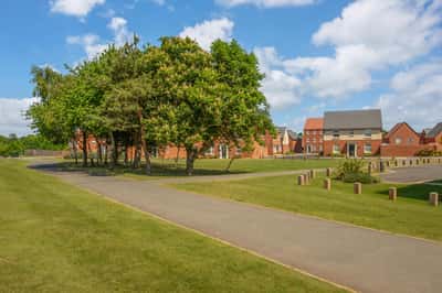 The Skylarks - Image 9