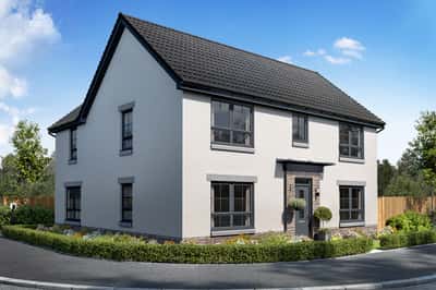 The Woodlands Collection - Image 8