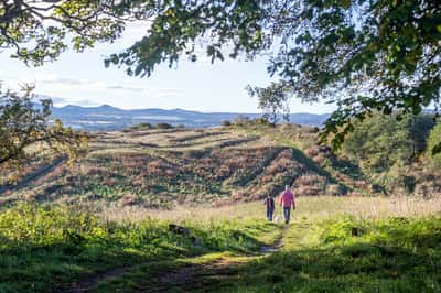 West Craigs Quarter - Image 10