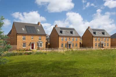 Willow Grove - Image 4