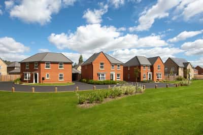 Woodland Heath - Image 3