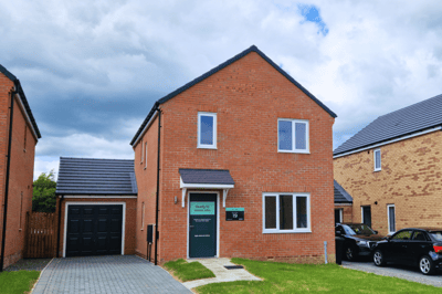 Monarch Green - Image 4