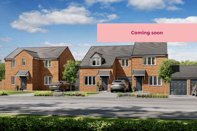 Ousterley Woods - Image 1