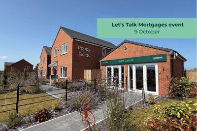 Poppy Fields - Image 1