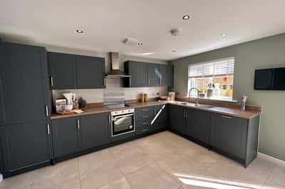 Squirrel Fold - Image 3