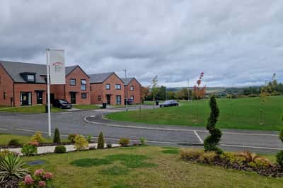 The Woodlands - Image 4