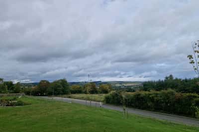 The Woodlands - Image 7