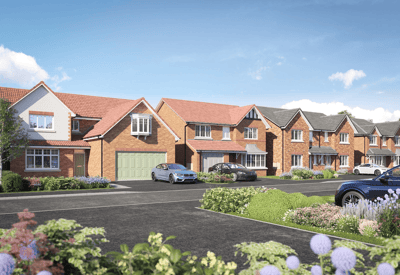 Lambcote Meadows - Image 2