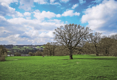 Wentworth View - Image 10