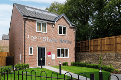 Blue Birch Fields - Image 6