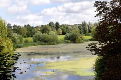 Collingtree Park - Image 10