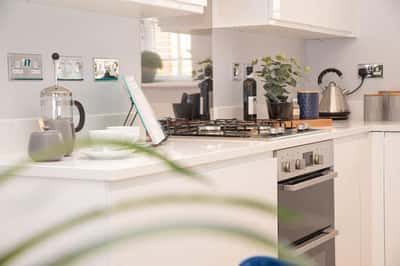 Harrington Park, Pinhoe - Image 4