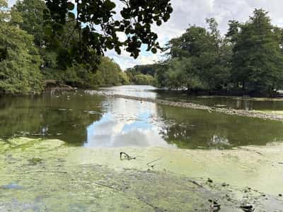 Linden Homes at Linby Meadows - Image 6