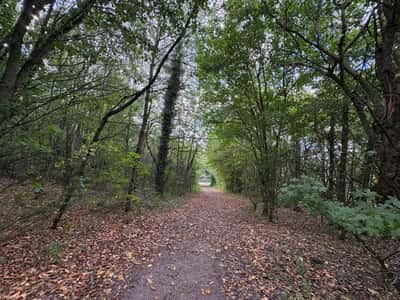 Linden Homes at Linby Meadows - Image 7