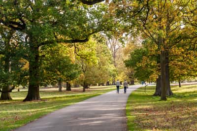 Stamford Gardens - Image 9
