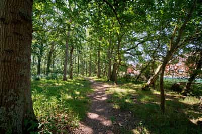 Whiteley Meadows - Image 6