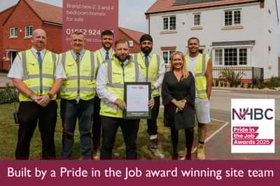 Woodland Glade - Image 4