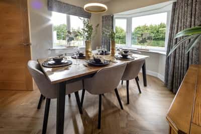 Wild Walk - Image 14