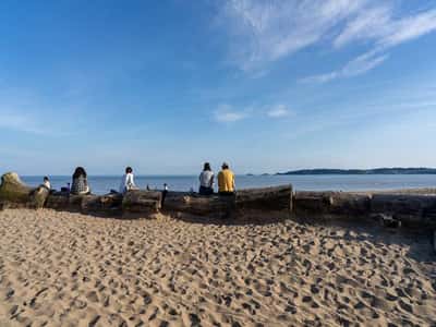 Cwrt Y Brenin - Image 2