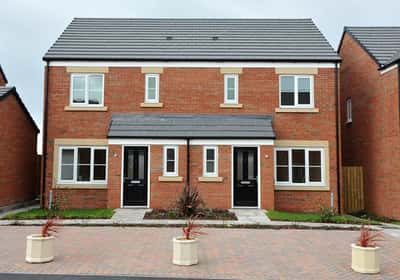 Douglas Gardens - Image 6