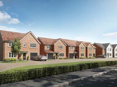 Forest View - Image 9