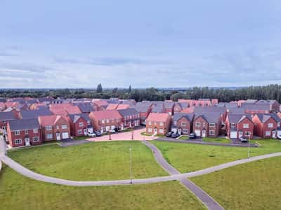 Orchid Gardens at Ladgate Woods - Image 8