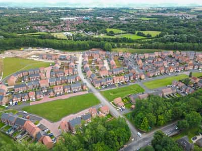 Orchid Gardens at Ladgate Woods - Image 9