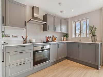 Saltram Meadow - Image 7