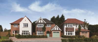 Polden Orchards, Puriton - Image 3