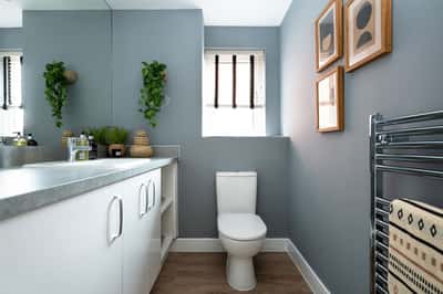 Gresley Meadow - Image 13